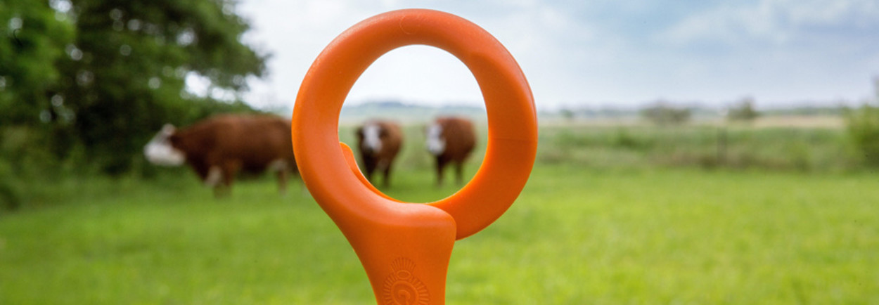 De juiste afrasteringspaal