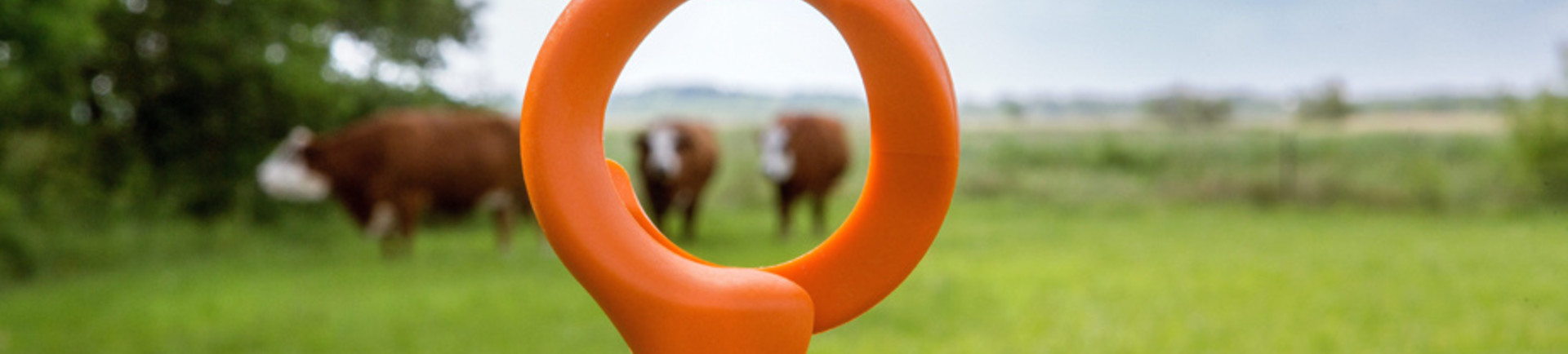 De juiste afrasteringspaal