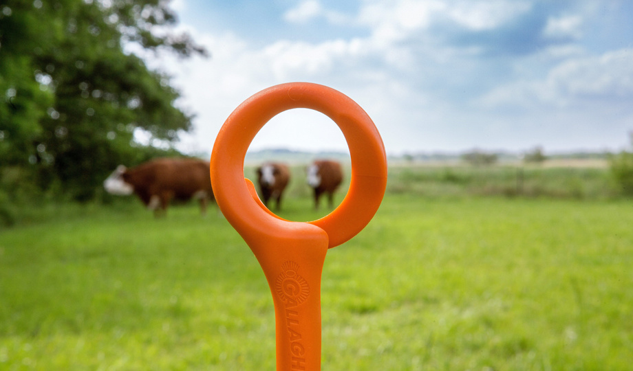 De juiste afrasteringspaal