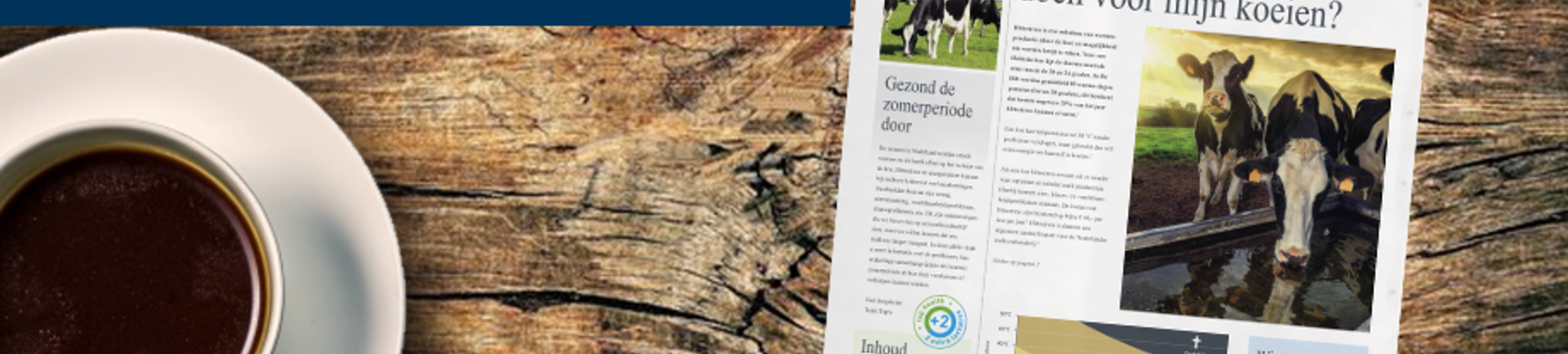 Topro Cow Programme;  Gezond de zomerperiode door