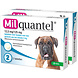 Milquantel Ontwormtablet 12,5 mg/125 mg Hond Groot 4 tabl. 5-75 Kg Milquantel Ontwormtablet 12,5 mg/125 mg Hond Groot 4 tabl. 5-75 Kg