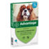 Advantage 100 hond (4 - 10 Kg) Advantage 100 hond (4 - 10 Kg)