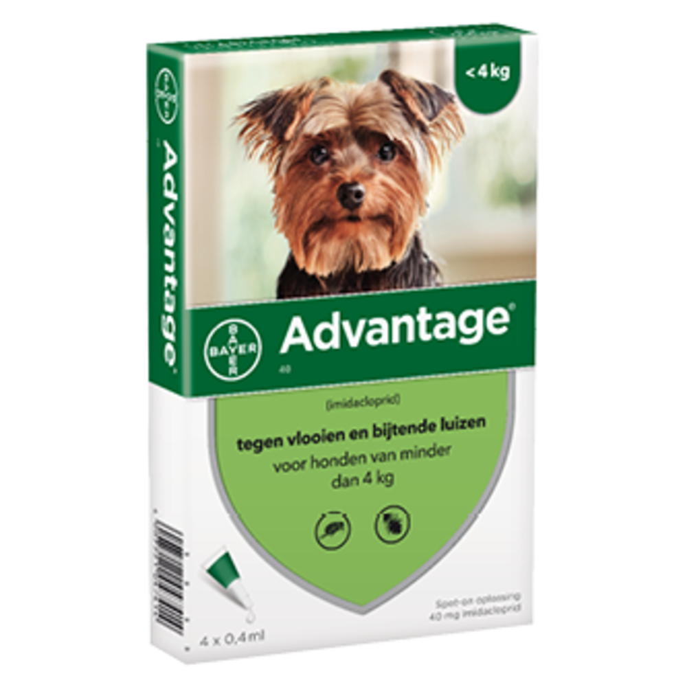Bayer Advantage 40 hond (< 4 Kg)