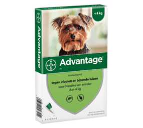 Bayer Advantage 40 hond (< 4 Kg)