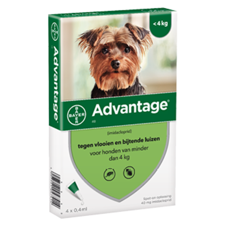 Bayer Advantage 40 hond (< 4 Kg)