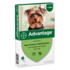 Advantage 40 hond (< 4 Kg) Advantage 40 hond (< 4 Kg)