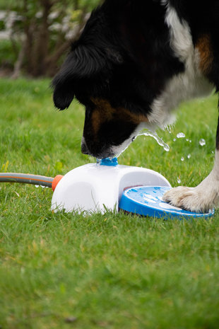 Coolpets Water Speelfontein Coolpets Water Speelfontein