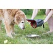 KONG Kibble Storage Bag KONG Kibble Storage Bag