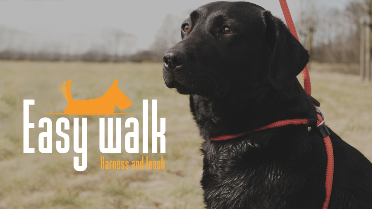 Easy Walk Easy Walk Hondenriem Easy Walk Easy Walk Hondenriem