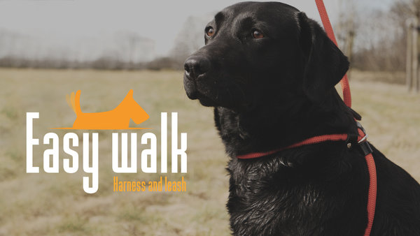 Easy Walk Easy Walk Hondenriem Easy Walk Easy Walk Hondenriem