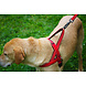 KONG Nylon Tuigje Rood KONG Nylon Tuigje Rood