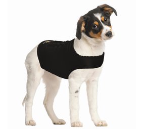 Zenpet Compression Shirt Zenpet Compression Shirt