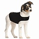 Zenpet Compression Shirt Zenpet Compression Shirt