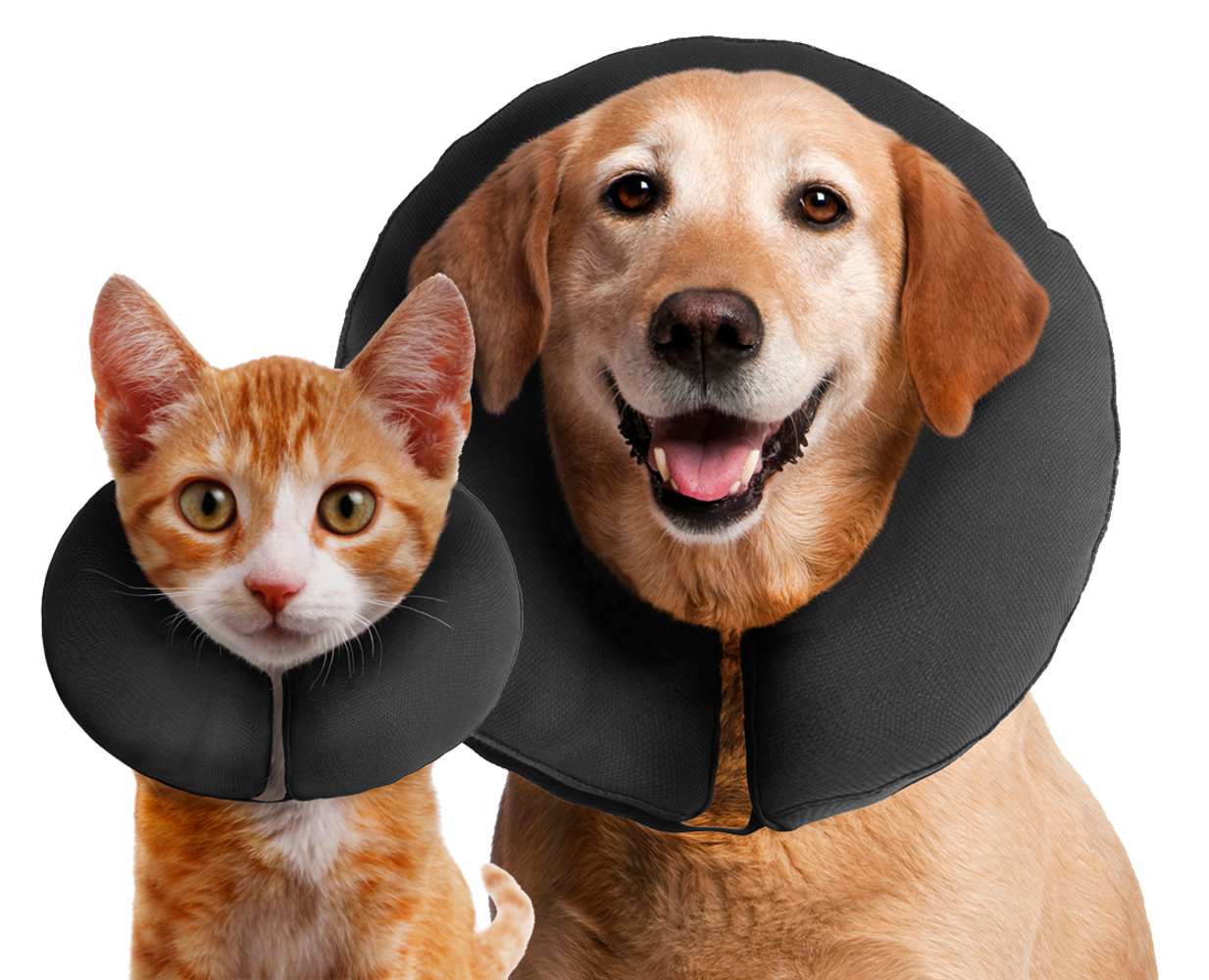 Zenpet ProCollar Zenpet ProCollar