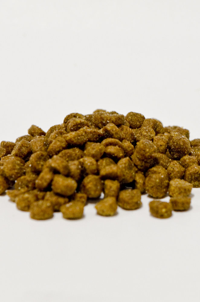 Max Max Puppyvoer Max Max Puppyvoer