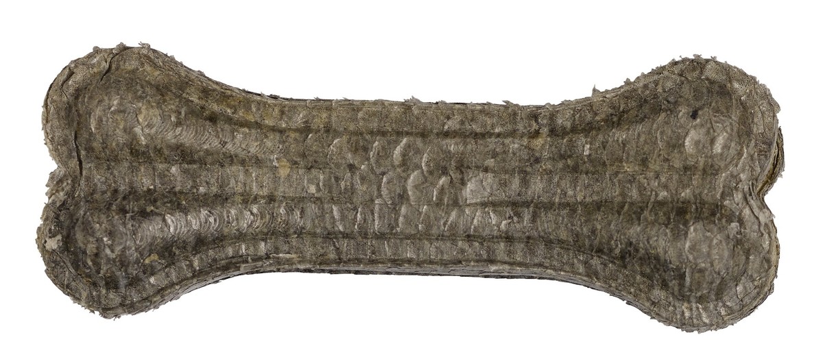 Braaaf Salmon Fish Bones Agridiscounter