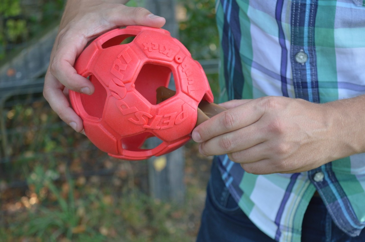 Dental Ears Hondensnack Kauw Oren (Klein) 12 stks