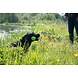Dog Comets Werpstok Groen Dog Comets Werpstok Groen