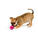 Dog Comets Rubberen Bal Roze Dog Comets Rubberen Bal Roze