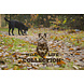 Wild Life Collection Hondenknuffel Konijn Wild Life Collection Hondenknuffel Konijn
