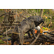 Wild Life Collection Hondenknuffel Duif Wild Life Collection Hondenknuffel Duif