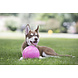 Jolly Pets Bijtbestendige Honden Stuiterbal - Roze Jolly Pets Bijtbestendige Honden Stuiterbal - Roze