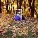 Jolly Pets Speelbal Met Handvat - Blauw Jolly Pets Speelbal Met Handvat - Blauw