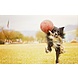 Jolly Pets Speelbal Met Touw - Rood Jolly Pets Speelbal Met Touw - Rood