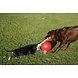 Jolly Pets Speelbal Met Touw - Rood Jolly Pets Speelbal Met Touw - Rood