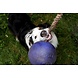 Jolly Pets Speelbal Met Touw - Blauw Jolly Pets Speelbal Met Touw - Blauw