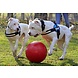 Jolly Pets Push-n-Play Speelbal Rood Jolly Pets Push-n-Play Speelbal Rood