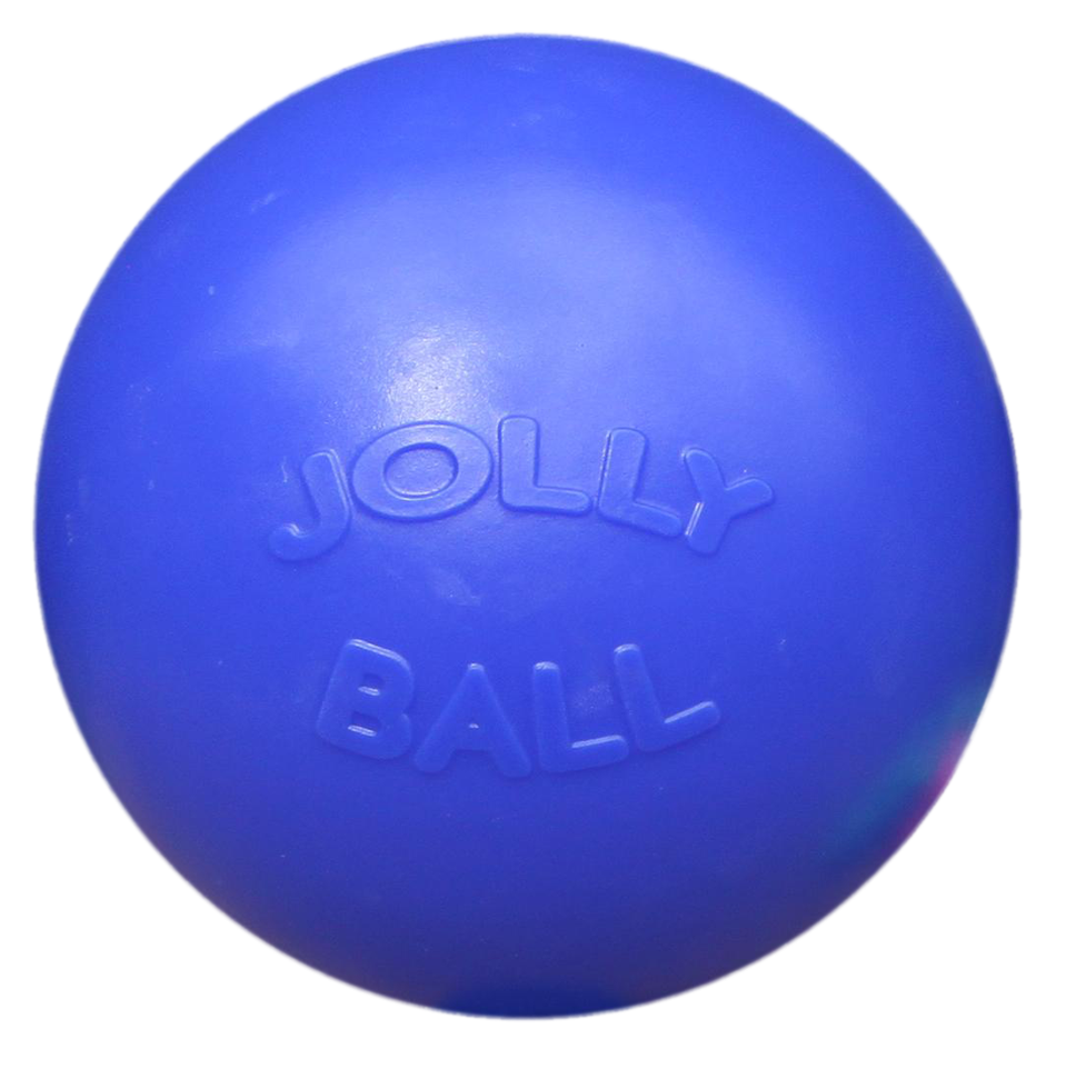 Jolly Pets PushnPlay Speelbal Blauw Agridiscounter