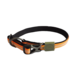 AFP Halsband Oranje AFP Halsband Oranje