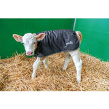 Patura Kalverdek (S/M/L)