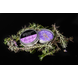 Groomers Secret Shampoo Bar Lavendel Groomers Secret Shampoo Bar Lavendel