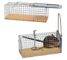 Agridiscounter Rattenval inlopend levend