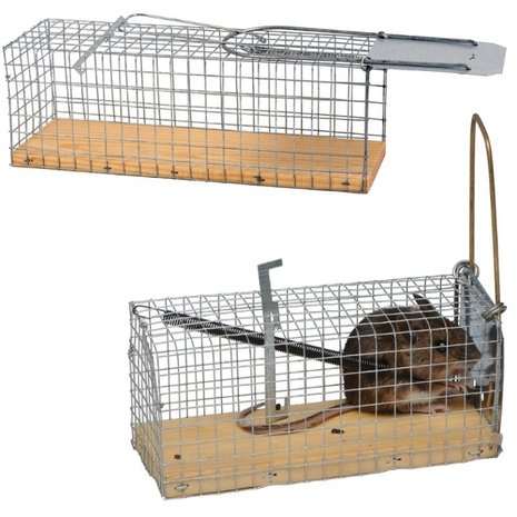 Agridiscounter Rattenval inlopend levend