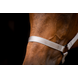 Excellent Horse Paardenhalster Premium Grijs Excellent Horse Paardenhalster Premium Grijs