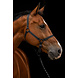 Excellent Horse Paardenhalster Premium Zwart Excellent Horse Paardenhalster Premium Zwart