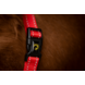 Excellent Horse Paardenhalster Superior Rood Excellent Horse Paardenhalster Superior Rood