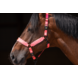 Excellent Horse Paardenhalster Superior Roze Excellent Horse Paardenhalster Superior Roze