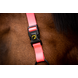 Excellent Horse Paardenhalster Superior Roze Excellent Horse Paardenhalster Superior Roze