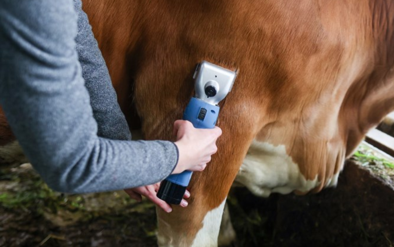 Kerbl Farmclipper Clipster Veescheermachine Kerbl Farmclipper Clipster Veescheermachine