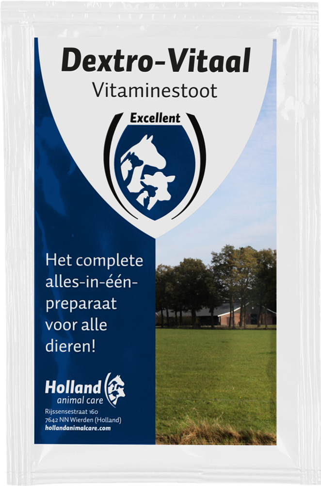 Excellent Dextro Vitamineboost Excellent Dextro Vitamineboost