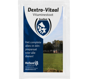 Excellent Dextro Vitamineboost Excellent Dextro Vitamineboost
