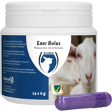 Excellent Ener Bolus Schaap & Geit