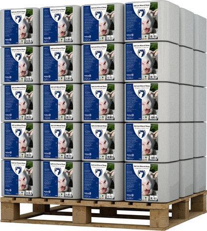 Excellent Mineralen Liksteen Schaap Excellent Mineralen Liksteen Schaap