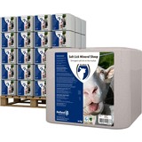 Excellent Mineralen Liksteen Schaap