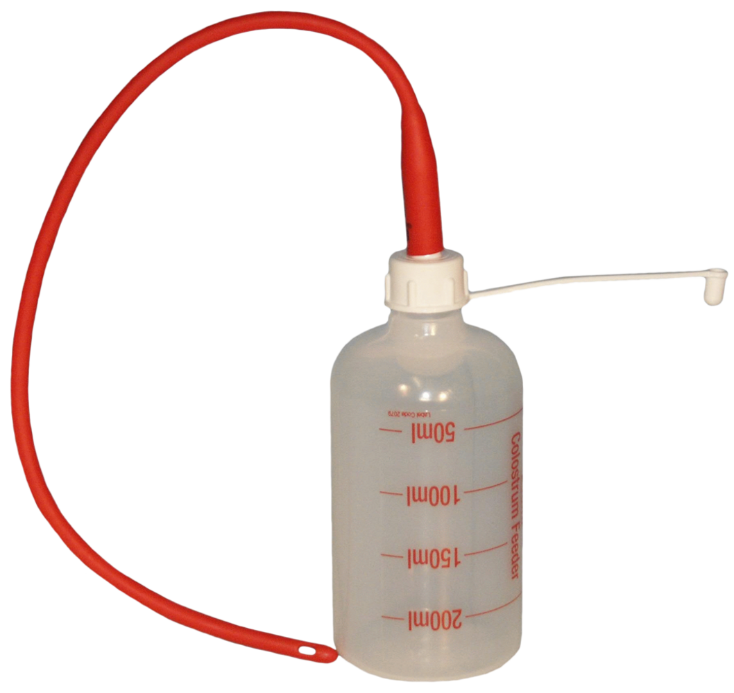 Excellent Lammerensonde 40 cm + fles 250ml