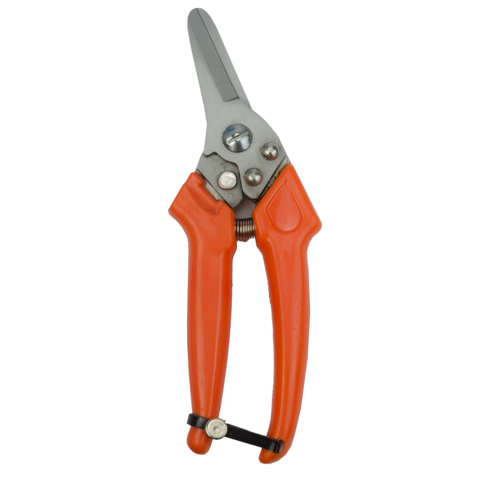 Claw Clipper Sheep Dutch klauwschaar online kopen